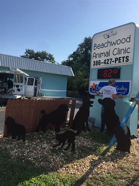 coronado animal clinic photos|Coronado Animal Clinic, New Smyrna Beach, FL .